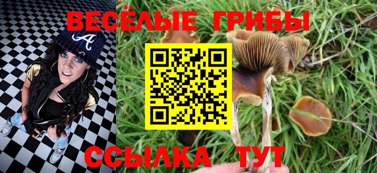 Галлюциногенные грибы Magic Shrooms Асбест